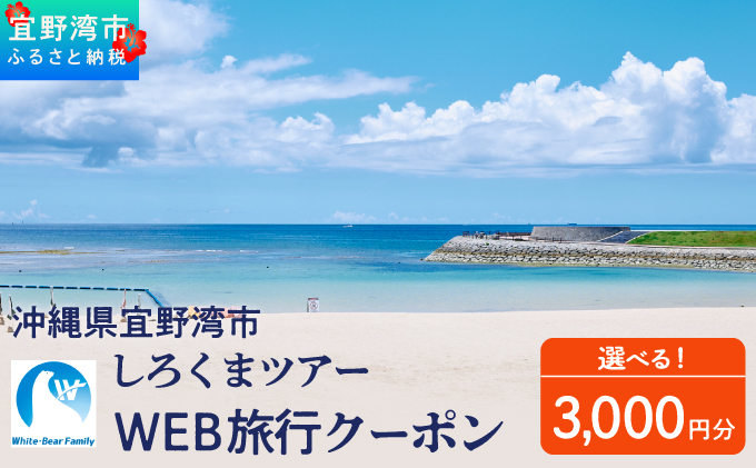 沖縄県 宜野湾市 しろくまツアーで利用可能なWEB旅行クーポン  3,000円分 | ふるさと納税 ふるさと | 送料無料 | 沖縄 旅行 トラベル 観光 リゾート ツアー | ホテル 宿 宿泊 | 旅行券 チケット 宿泊券 紙券 地域限定旅行クーポン