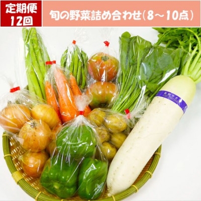 
            ＜毎週定期便＞道の駅たかのスタッフ厳選!庄原市産「旬」の野菜詰め合わせ(8～10点)全12回【4070051】
          