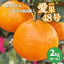 【ふるさと納税】 【3月下旬から発送】 あいか 愛果48号 2kg 家庭用 期間限定 愛媛県産 みかん 蜜柑 オレンジ 柑橘 果物 フルーツ 家庭用 おすすめ 愛媛県 松山市