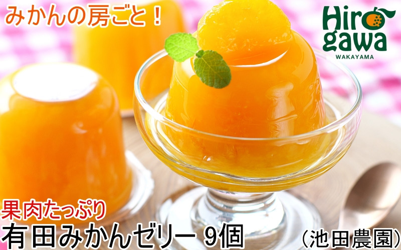 
            有田 みかんゼリー 9個 果肉たっぷり / 温州みかん ゼリー 柑橘 和歌山 ※北海道・沖縄・離島への配送不可 【ikd101-mik-9】
          