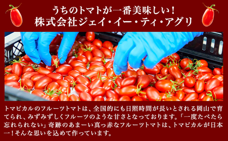トマト ジュース トマトジュース トマピカル ネクター フルーツトマト 350ml 2本 株式会社ジェイ・イー・ティ・アグリ《30日以内に出荷予定(土日祝除く)》岡山県 笠岡市 ｜ﾄﾏﾄｼﾞｭｰｽ ﾄ