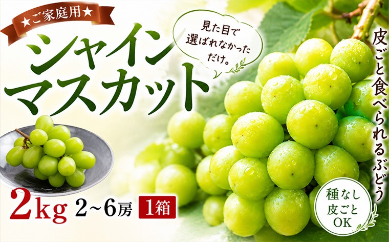 
                  ★ご家庭用★シャインマスカット 2kg 2~6房 1箱 見た目で選ばれなかっただけ。食べれば、きっと選びたくなる。皮ごと食べられるぶどう 大容量 種無しぶどう 山形  FY26-250
                
