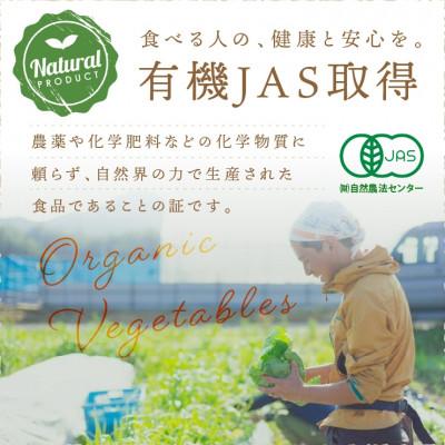 ふるさと納税 京丹後市 【発送月固定定期便】【6回定期便】<てんとうむしばたけ>オーガニック有機野菜7種(2人用)全6回 |  | 02