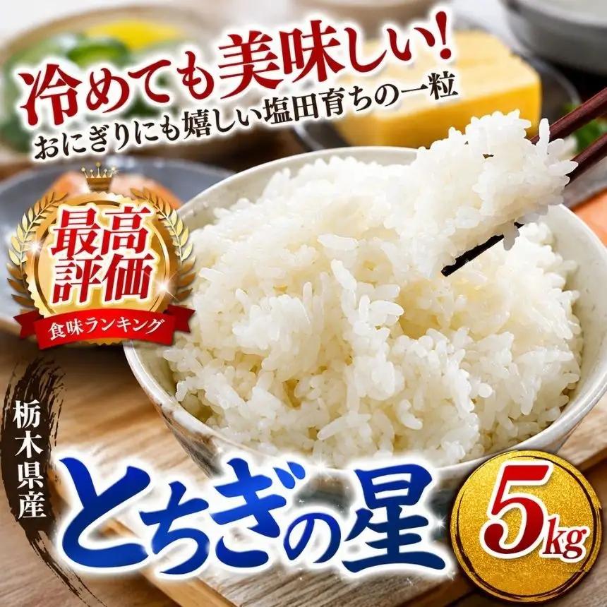 【2026年先行予約】ごはんが主役！矢板市産とちぎの星 白米 5kg お米 栃木県 矢板市