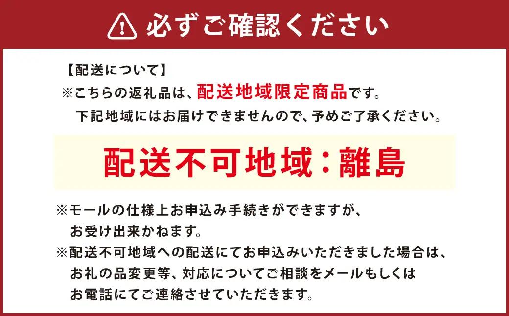 家具型電気ヒータ DHUMA デューマ（サテンレッド）電気ヒーター