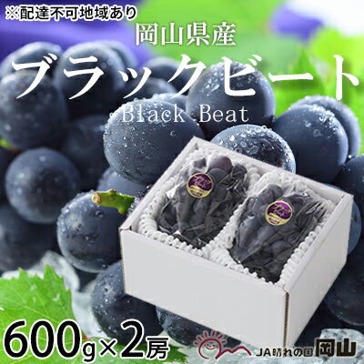 【ふるさと納税】ぶどう 2026年 先行予約 ブラックビート 約600g×2房 ブドウ 葡萄 岡山県産 国産 フルーツ 果物 ギフト 岡山のぶどう 岡山の果物 デザート 食後 種無し 大粒 甘味 酸味 バランス 　お届け：2026年8月中旬〜2026年9月上旬