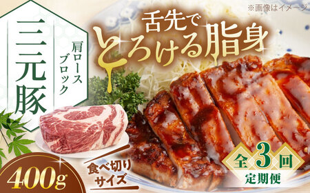 【全3回定期便】平田牧場 肩ロース ブロック 400g  豚肉 ローストポーク 煮豚 [AJAP161]