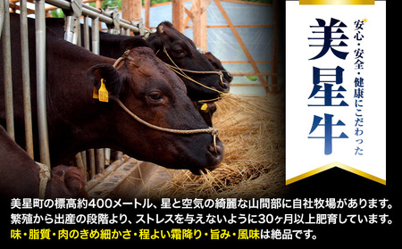 牛肉 サーロインステーキ 美星牛 約400g ハレノヒ良品