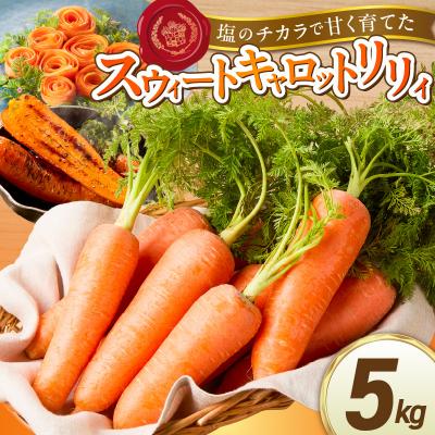 ふるさと納税 碧南市 【期間限定】鈴盛農園の甘〜いにんじん　スウィートキャロットリリィ　H022-013