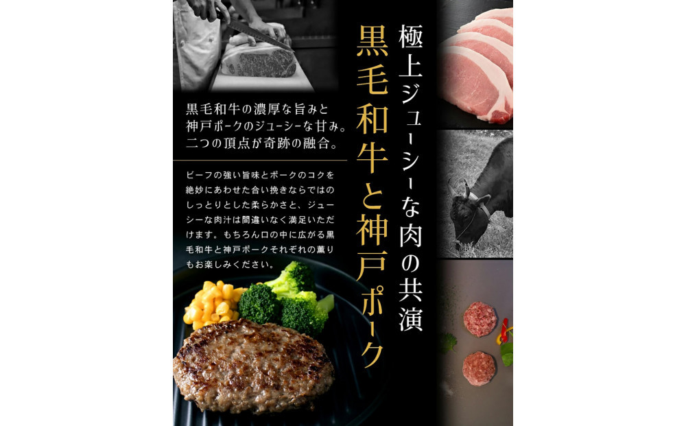 港町神戸の港ハンバーグ 5個入り