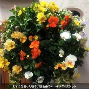 花 寄植え バスケット 季節の花　植物