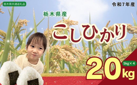 コシヒカリ20kg（5kg×4袋) | 米 こめ コメ kome 白米 精米 お米 こしひかり ｺｼﾋｶﾘ 栃木米 令和7年度米 令和7年度 2025年度米 2025年度 ブランド米 栃木県 特産品 送料無料 【栃木県共通返礼品】 栃木県 下野市 しもつけ市