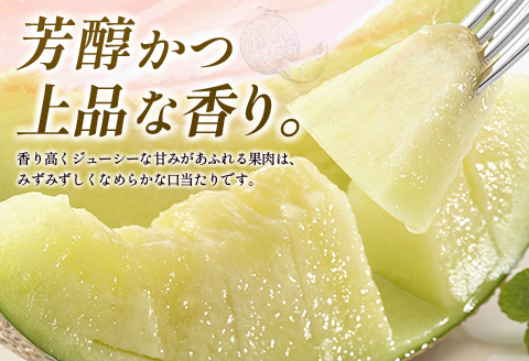 大玉プレミアムアールスメロン 4L2玉 ※2024年5～7月お届け 秀品 合計3.8kg以上 宮崎県産【C331-02】