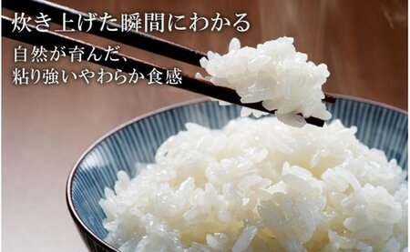 令和５年度産新米先行予約受付　コウノトリ育むお米無農薬【2kg×2袋】（94-001）