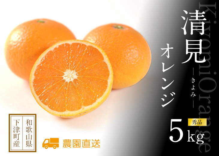 清見オレンジ 約5kg M・L・2Lサイズおまかせ 《赤秀》 和歌山県産 農園直送 まごころ産直みかん 【北海道・沖縄県・一部離島 配送不可】Mサイズ Lサイズ LLサイズ みかん きよみ 清見タンゴ