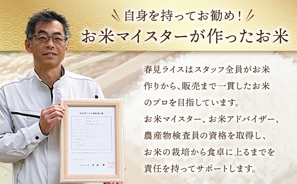 美濃加茂産 ハツシモ 5kg×1袋