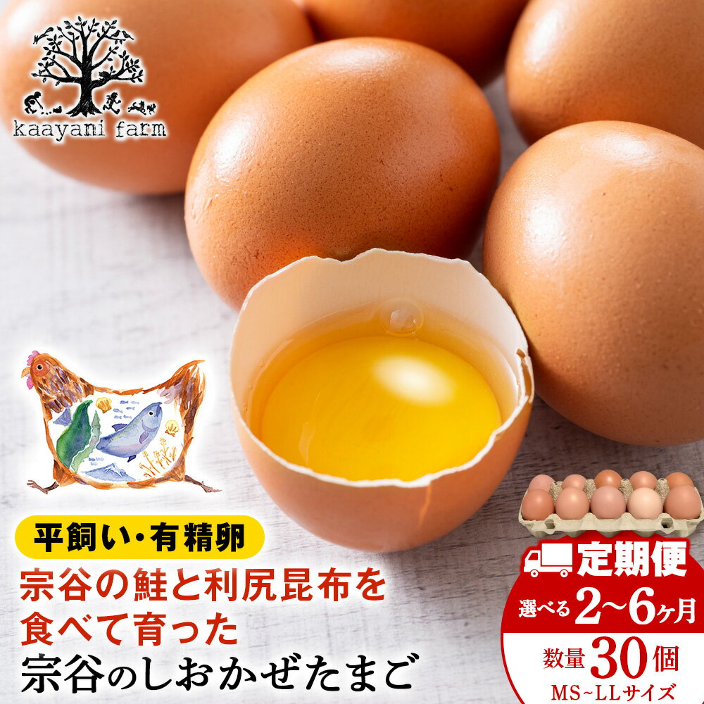 【ふるさと納税】【選べる定期便】宗谷のしおかぜたまご30個入卵 有精卵 鶏卵 たまご 玉子 生卵 北海道ふるさと納税 稚内 ふるさと納税 北海道