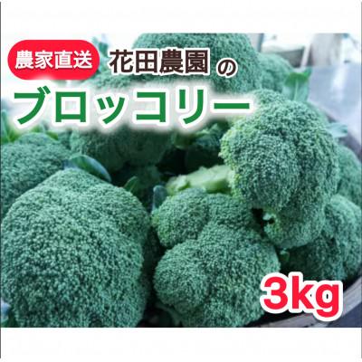 ふるさと納税 鞍手町 朝採れ　農家直送ブロッコリー　10個(3kg以上)
