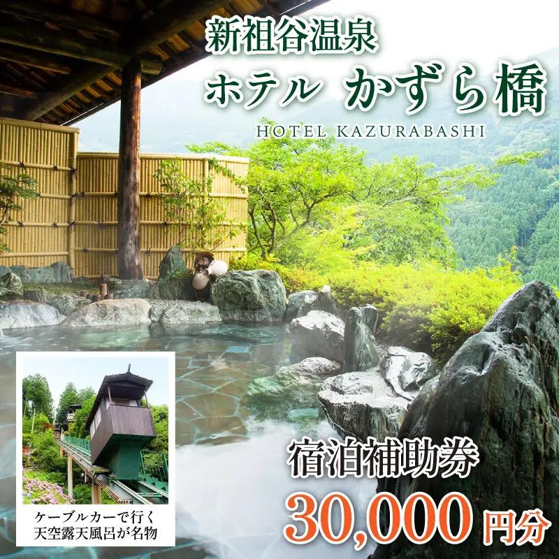 新祖谷温泉ホテルかずら橋 宿泊券 30,000円分 旅行【旅行】