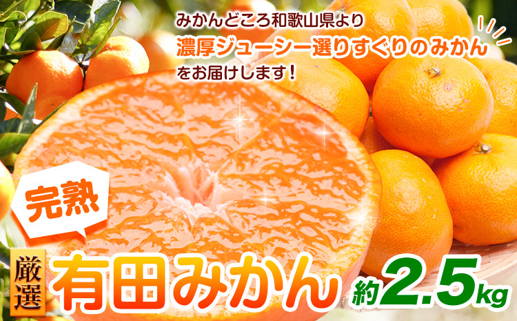 
                  【先行予約】厳選　完熟有田みかん2.5kg+250g（傷み補償分）【光センサー選果】 池田鹿蔵農園@日高町（池田農園株式会社）《2026年11月中旬-2026年1月下旬出荷》和歌山県 日高町【配送不可地域あり】
                