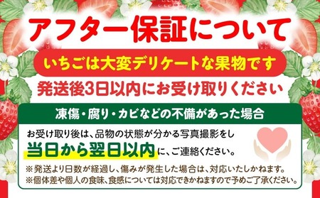 【先行予約】DAICONファーム さぬきひめJEWEL BOX（さぬきひめ苺（特選大粒）2箱 約800g） | いちご 苺 果物 果実 果汁 青果物 高級 大粒いちご 特選大粒 ご褒美 贈答 贈り物 