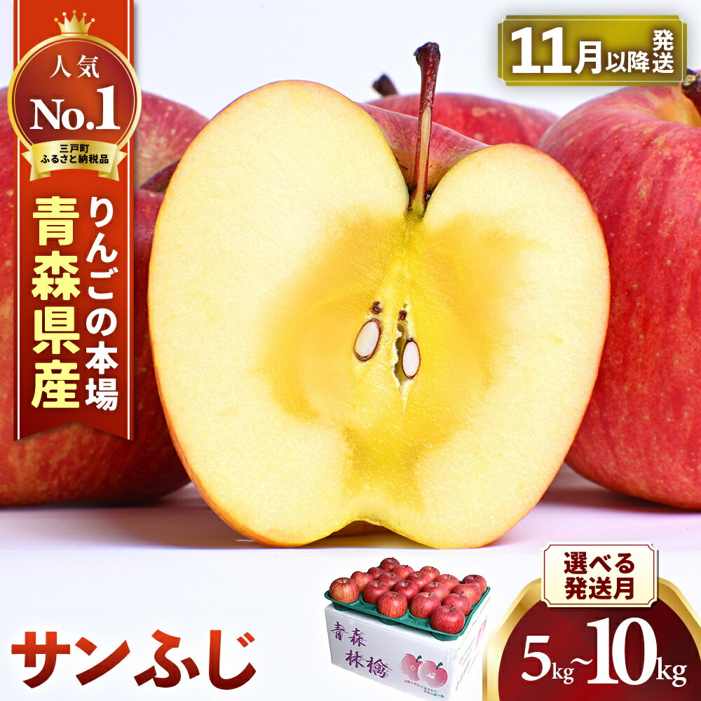 人気ナンバー1 りんご サンふじ 14〜20玉 約5kg(12月中旬以降発送分)
