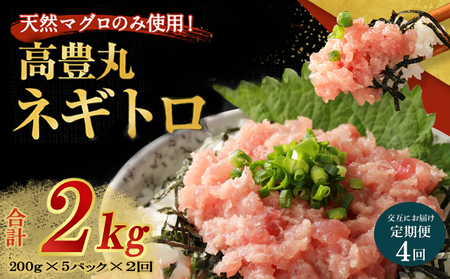 【交互定期便 / ４ヶ月連続】 土佐流藁焼きかつおのたたき２節と高豊丸ネギトロ１kg 魚介類 海産物 カツオ 鰹 わら焼き 高知 コロナ 緊急支援品 海鮮 冷凍 家庭用 訳あり 不揃い 規格外 連続 