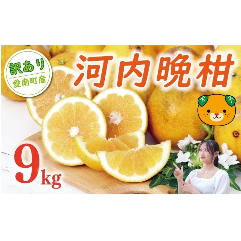 数量限定 先行予約 訳あり 河内晩柑 樹齢 20年以上 9kg （ Lサイズ 以上 ） 9000円 みかん mikan 蜜柑 ミカン わけあり かわちばんかん 愛南ゴールド あいなん ゴールド 文旦 派生 和製 グレープフルーツ 家庭用 産地直送 国産 農家直送 期間限定 特産品 ゼリー ジュース 人気 限定 甘い フルーツ 果物 柑橘 蜜柑 規格外 くらもとファーム 愛南町 愛媛県