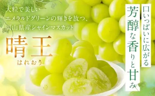 シャインマスカット 晴王 秀品 大房 2 ～ 5房 約2kg ぶどう ブドウ 葡萄 マスカット 果物 くだもの フルーツ 果実 種なし 皮ごと 国産 岡山県産 冷蔵 【 2026年9月上旬から11月下