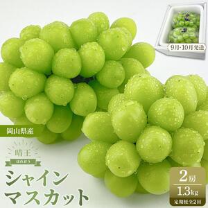 【定期便 全2回／2026年9・10月発送】 岡山県産シャインマスカット 晴王 2房 約1.3kg  2回定期便　9月10月に1回づつ発送　種無し 皮ごと食べる 旬の美味しさ　フレッシュ 先行予約　ハレノフルーツ | フルーツ 果物 くだもの シャインマスカット 晴王  種なし 皮ごと フレッシュ 国産 岡山県産 食品 人気 おすすめ 送料無料 定期便 ギフト 贈り物 贈答品 プレゼント ぶどう ぶどう 葡萄 葡萄
