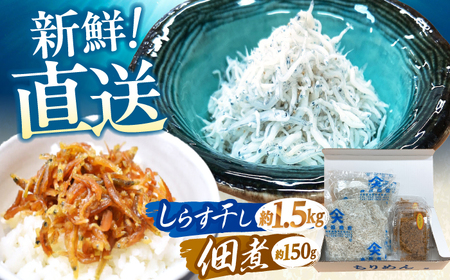 しらす干し（約1.5kg）と佃煮（約150g）セット&nbsp;/森国商店&nbsp;浜で瞬時に釜出し&nbsp;高知のしらす【グレイジア株式会社】[ATAC487]