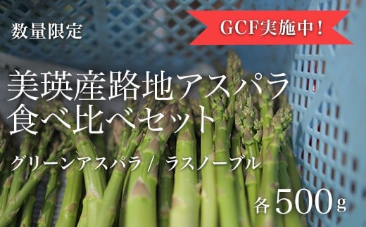 
            【クラウドファンディング実施中！】<令和8年産>美瑛産露地アスパラ食べくらべセット | 美瑛選果グリーン アスパラ 採れたて 新鮮 旬 産地直送 幻のアスパラ ラスノーブル アスパラガス あすぱら[013-73]
          