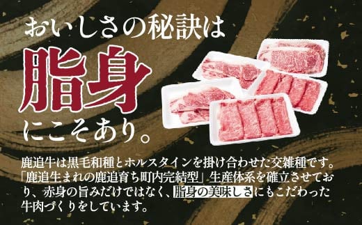 牛ロース焼肉用（交雑種）