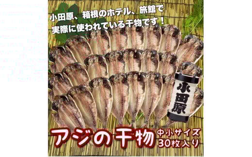 鯵の干物 中小サイズ 30枚セット