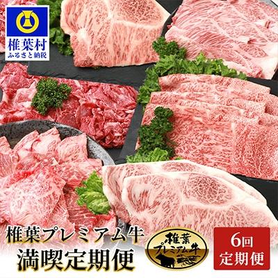 ふるさと納税 椎葉村 【定期便6回】総重量3.1kg!椎葉プレミアム牛満喫定期便≪ステーキ・すき焼き・焼き肉≫ 牛肉 お肉
