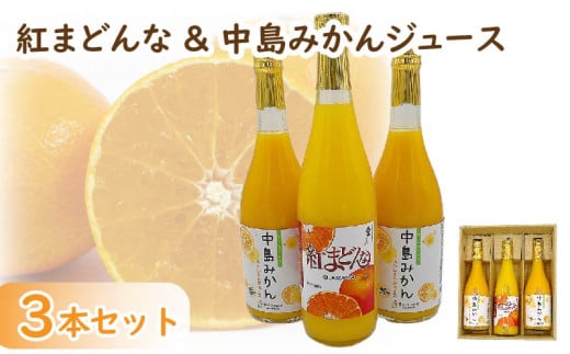 紅まどんな&中島みかん３本 セット | みかん 蜜柑 マドンナ 高級 愛媛 松山 お祝い ギフト 贈答 プレゼント