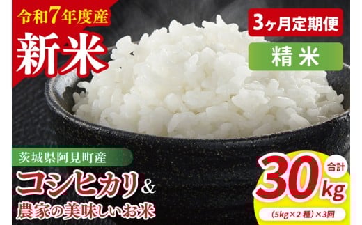 【3ヶ月定期便】【令和7年産新米】阿見町産 精米 食べ比べ（コシヒカリ 美味しいお米）各5kg| 茨城県産 茨城県産米（85-143）