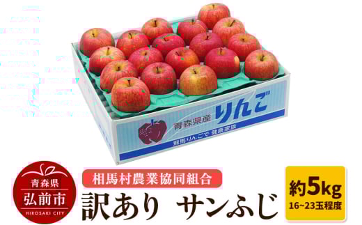 りんご【訳あり】サンふじ 約5kg（16～23玉程度）