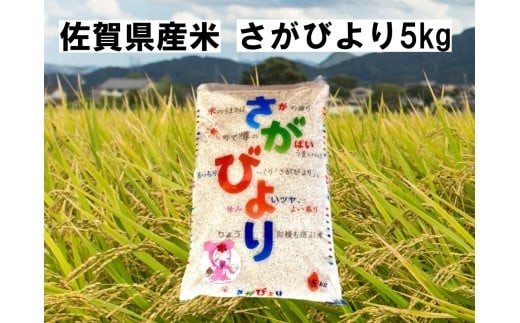 
                  佐賀県産米『さがびより』5kg
                