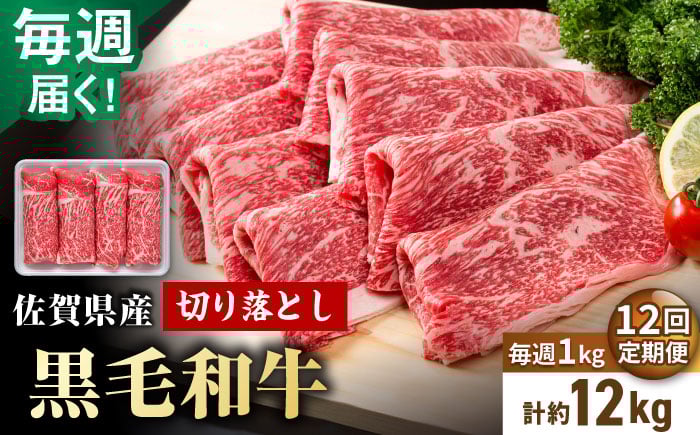 
            【圧倒的リピート率！】【12回定期便】毎週届く！ 佐賀県産 黒毛和牛 贅沢 切り落とし 1kg/回（計12kg） 3ヶ月分【株式会社いろは精肉店】佐賀産和牛 切りおとし 切落し 九州 [IAG207]
          