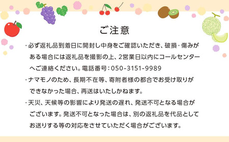 【2025年8月中旬より発送】特秀品！シャインマスカット　約2kg(3～5房) |フルーツ シャインマスカット 旬 美味しい シャインマスカット 新鮮 フルーツ 詰合せ シャインマスカット フルーツ 