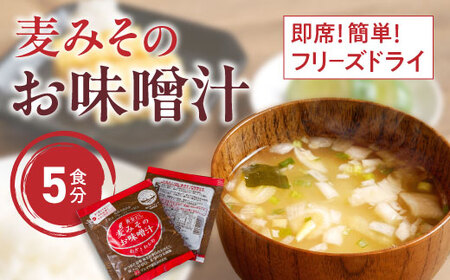 味噌 フリーズドライ 味噌汁 【5個入】
