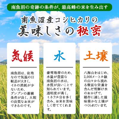 ふるさと納税 南魚沼市 新潟県 南魚沼市 魚沼 お米ンチカツ 80g 5個入り 2パック 計10個 |  | 03
