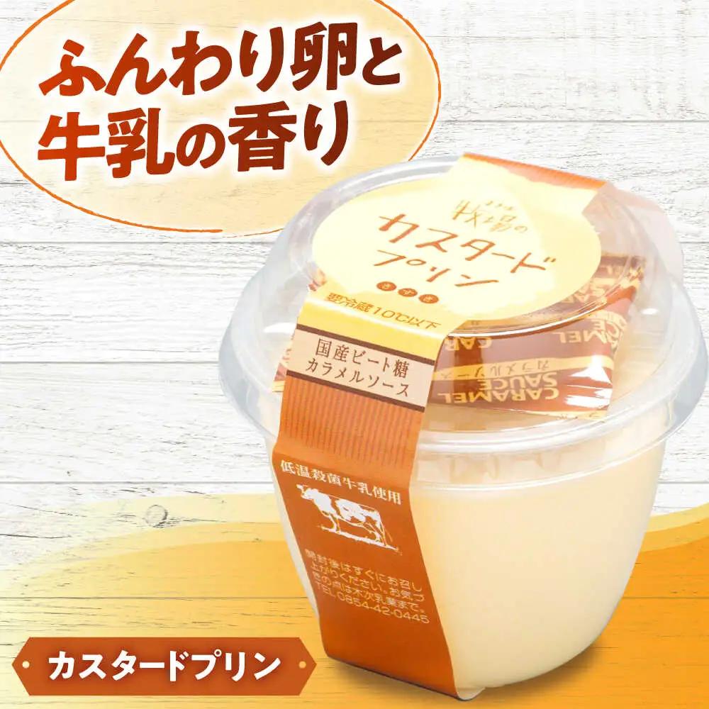 乳製品 プリン・ヨーグルト・ノンホモ牛乳 乳製品3種セット[AIBH001]