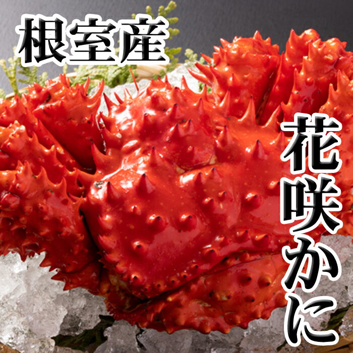 【ふるさと納税】[北海道根室産]花咲かに 選べる 2 〜 8尾 北海道 根室市 カニ 蟹 かに 花咲蟹 花咲ガニ 海鮮 海産物