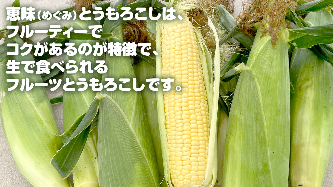 嬬恋産 めぐみ コーンスープ 150g × 5袋 とうもろこし コーンスープ スープ めぐみとうもろこし 嬬恋村 レトルト [AE007tu]