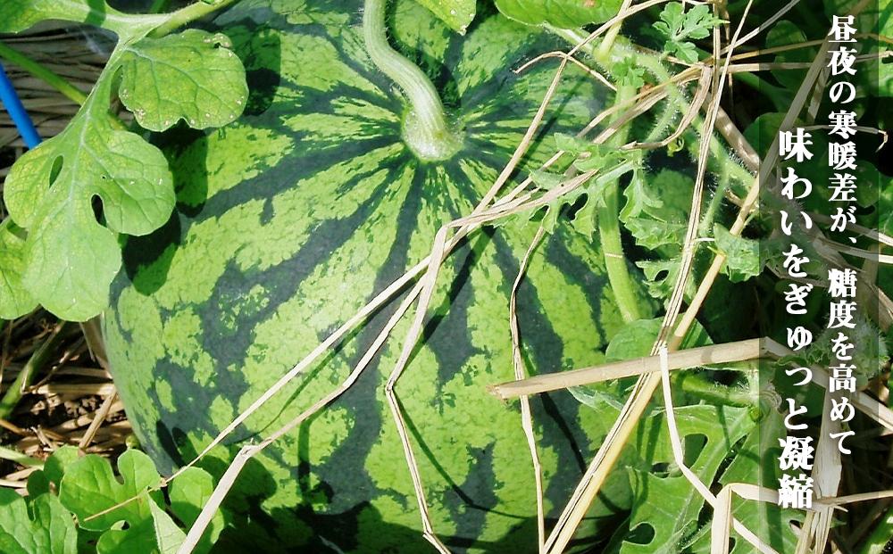 先行予約【高級】八色原すいか大玉１玉