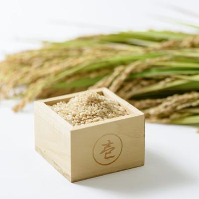 ふるさと納税 上越市 令和7年・新潟県産|JAS有機栽培アイガモ農法コシヒカリ100% 玄米5kg |  | 03