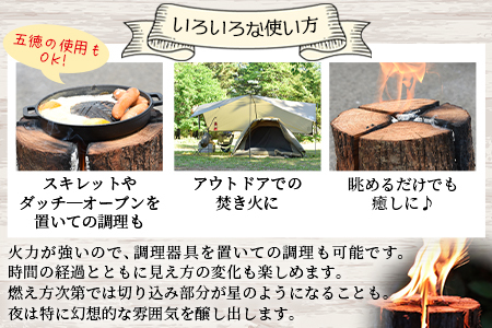 ＜家庭用 スウェーデントーチ 1本+薪 約5本セット（ジェルタイプ着火剤付き）＞翌月末迄に順次出荷【a0614_cz】
