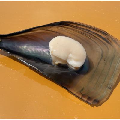 ふるさと納税 南知多町 愛知県産平貝(タイラギ)干物　(塩味・醤油味　各1パック)セット |  | 02